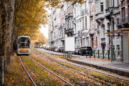Autumn city scene with a modern tram on grassy rails surrounded by colorful foliage. Perfect for themes of sustainable transport, urban lifestyle, tourism, ecology and European infrastructure.