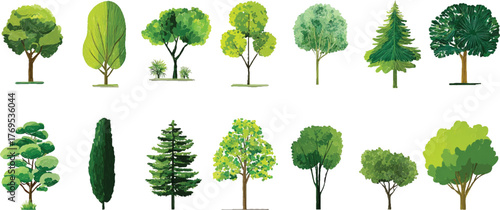 Photos Minimal style cad tree line drawing, Side view, set of graphics trees elements,