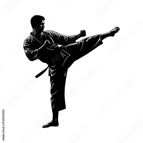 Silhouette of a karate athlete with a white background