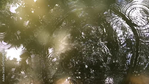 Water Surface with Rising Bubbles and Sunlight Reflection – Natural Pond Texture and Ripples Concept
