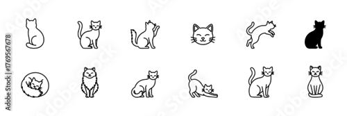 Fototapeta Set of twelve simple line drawings of cats in various poses