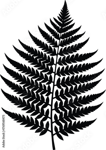 fern frond silhouette vector illustration