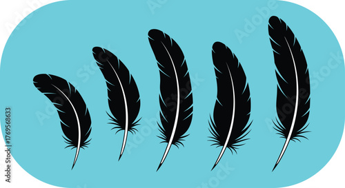 Five black feathers of varying sizes arranged diagonally on a bright turquoise background, symbolizing nature and lightness