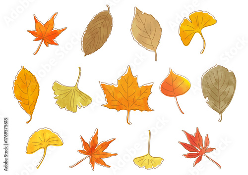 色とりどりに紅葉した落ち葉　やさしい手描き水彩タッチのベクターイラストセット