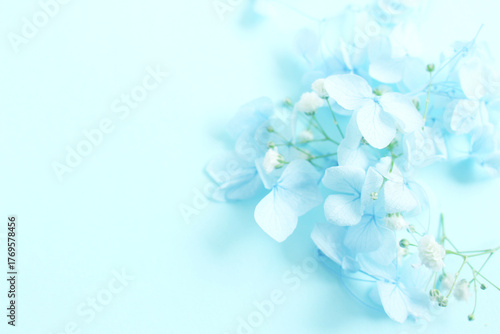 blue flowers for background