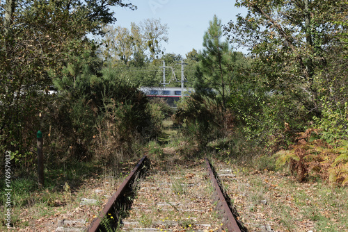 Voie ferrée désaffectée entre Cavignac et Coutras. Passage d’un TGV sur la LGV SEA entre Paris et Bordeaux