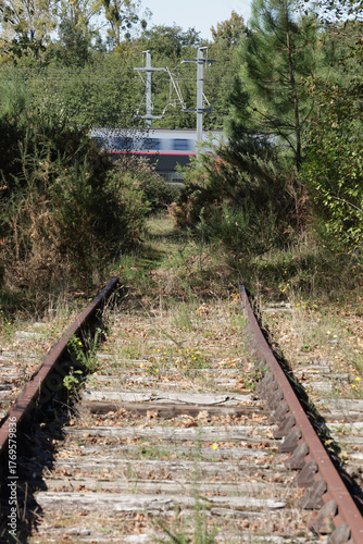Voie ferrée désaffectée entre Cavignac et Coutras. Passage d’un TGV sur la LGV SEA entre Paris et Bordeaux