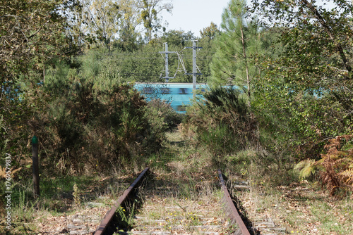 Voie ferrée désaffectée entre Cavignac et Coutras. Passage d’un TGV sur la LGV SEA entre Paris et Bordeaux