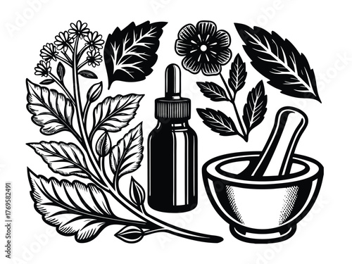 Vintage Engraving Style Herbs and Apothecary Icon Vector Set