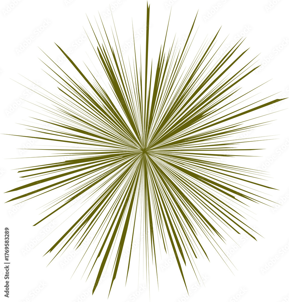 Obraz premium Green firework burst decorative design element