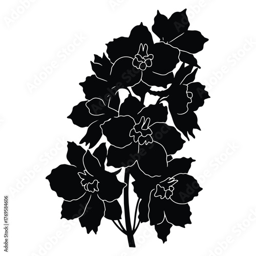 Elegant Black Silhouette of Blooming Delphinium Flowers on White Background