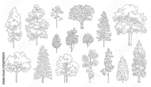 Coniferous and Deciduous Trees Vector – Line Drawing for Architecture Plans, Landscape Design, Garden Layouts, Urban Planning, Environmental Projects, or Educational Illustrations