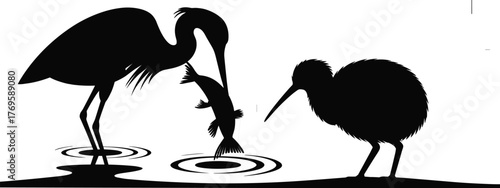 Birds silhouette at water scene, heron catching fish with kiwi bird beside, wildlife nature illustration, river or lake animal vector design
