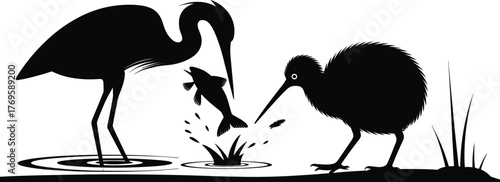 Birds silhouette scene with heron catching fish and kiwi bird watching, wildlife nature vector illustration, river or lake ecosystem animal design