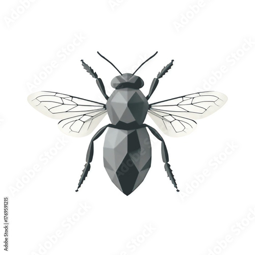 wasp isolated on white background