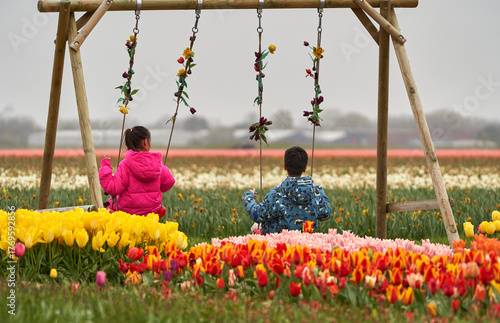 Children on the swing in the tulips field in blossom     