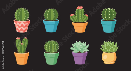 Collection of eight potted succulents and cacti on a dark background.