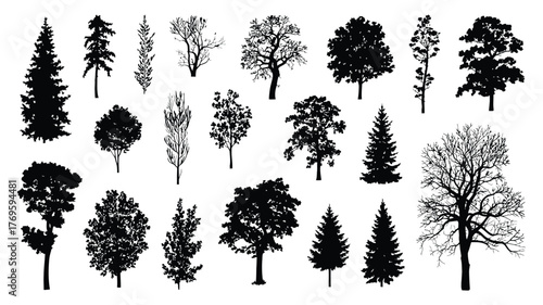 Tree Silhouette Vector – Isolated Forest Trees on White Background for Landscape Design, Architecture, Garden Planning, Urban Projects, Educational Materials, or Digital Illustrations
