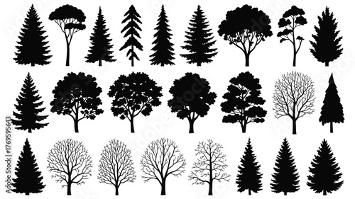 Trees Set Silhouette Vector – Coniferous Forest and Isolated Tree on White Background for Landscape Design, Architecture, Garden Planning, Urban Projects, Educational Materials, or Digital Illustratio