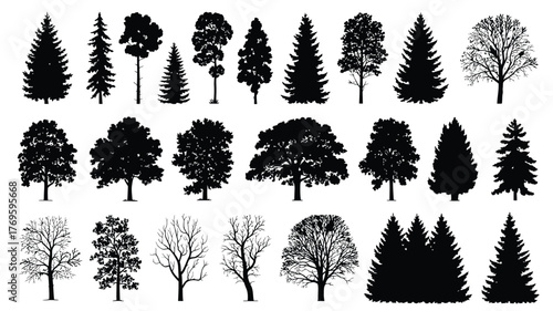 Trees Set Silhouette Vector – Coniferous Forest and Isolated Tree on White Background for Landscape Design, Architecture, Garden Planning, Urban Projects, Educational Materials, or Digital Illustratio