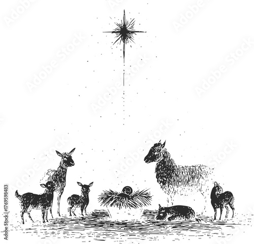 Vintage ink engraving of nativity scene with baby in manger, animals and star above. Holy Christmas night artwork.
