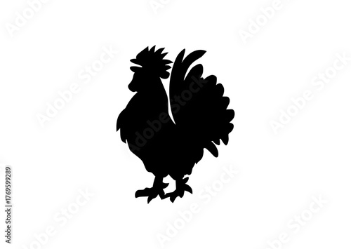 rooster isolated on white background