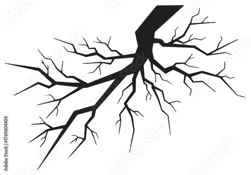 Silhouette of a tree branch with many smaller branches extending outwards in a stark black and white image on transparent background