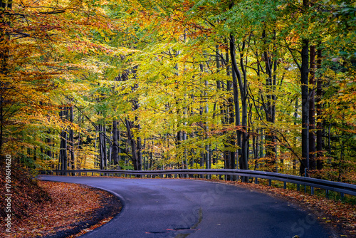 Fototapeta Naklejka Na Ścianę i Meble -  A peaceful mountain road on a cold autumn morning in southern Poland. Mist covers the valley, soft light highlights the golden trees and hills. Captures the serene atmosphere of the Beskids landscape.