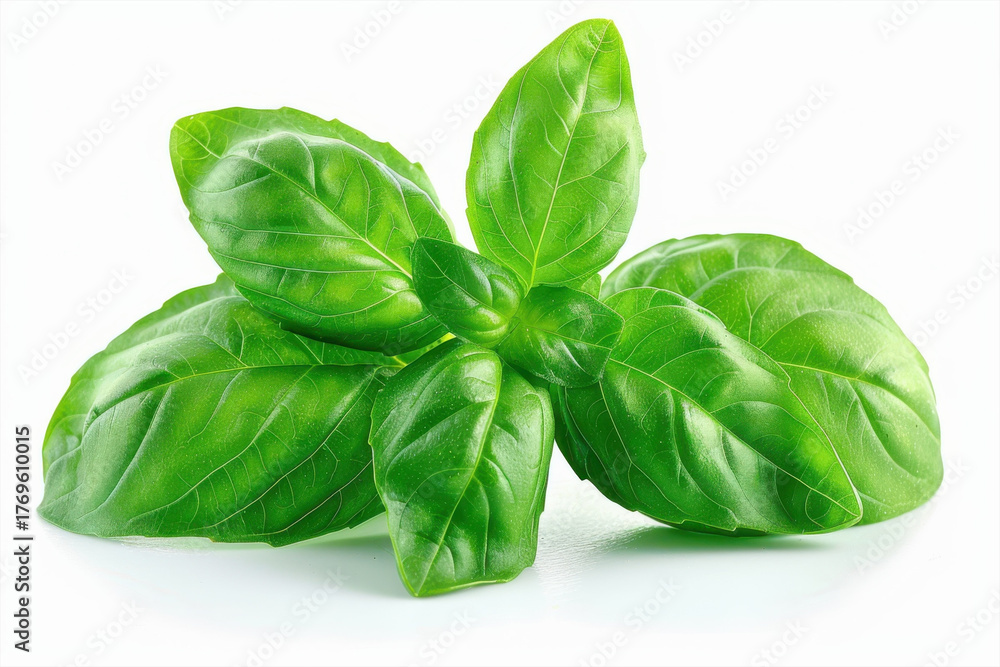 Fototapeta premium Fresh Green Basil Leaves Macro Photography Food Herbs Cooking Ingredient Kitchen Garden Aromatic