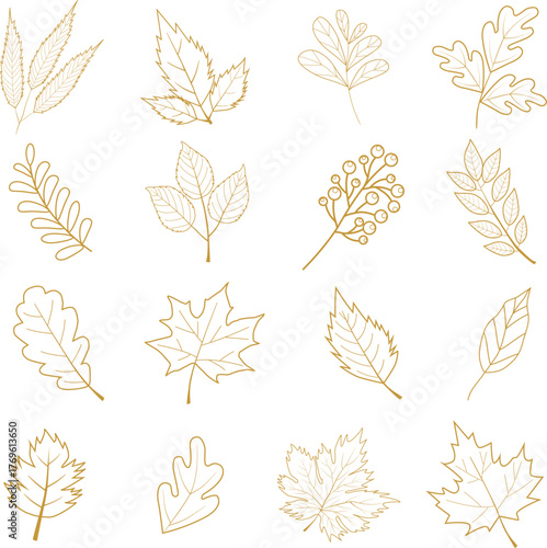Autumn leaves. Different forms in gold color outline. Leaves falling. Autumn composition. Vector illustration
