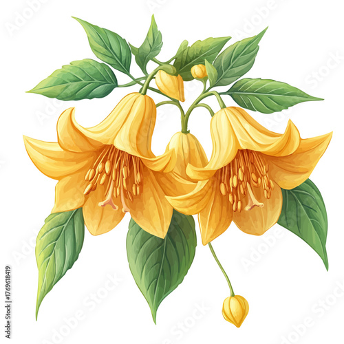 Yellow Archangel Flower, in whimsical style, shown as a playful cartoon isolated on a white background.