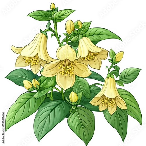 Yellow Archangel Flower, depicted as a playful cartoon in whimsical style, isolated on a white background.