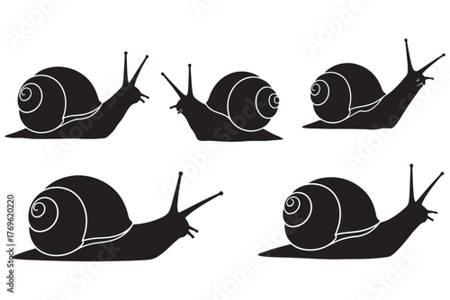 Group of snails isolated on white background, showcasing their spiral shells and antennae, moving slowly in a coordinated manner vector illustration