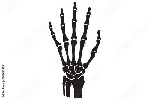 A detailed illustration of a skeletal hand, showcasing the intricate bone structure and joints, isolated on white background, creating a stark anatomical image vector illustration
