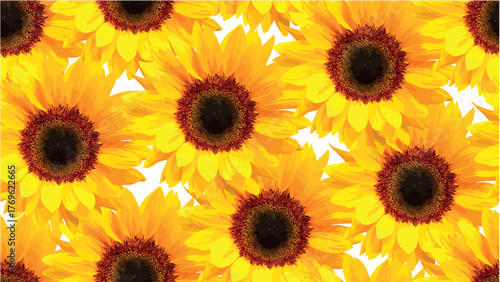beautiful yellow sunflowers background seamless pattern