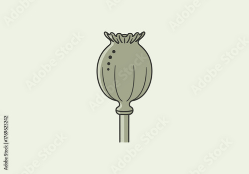 A minimalist vector illustration of a single green poppy seed pod isolated on a light background.