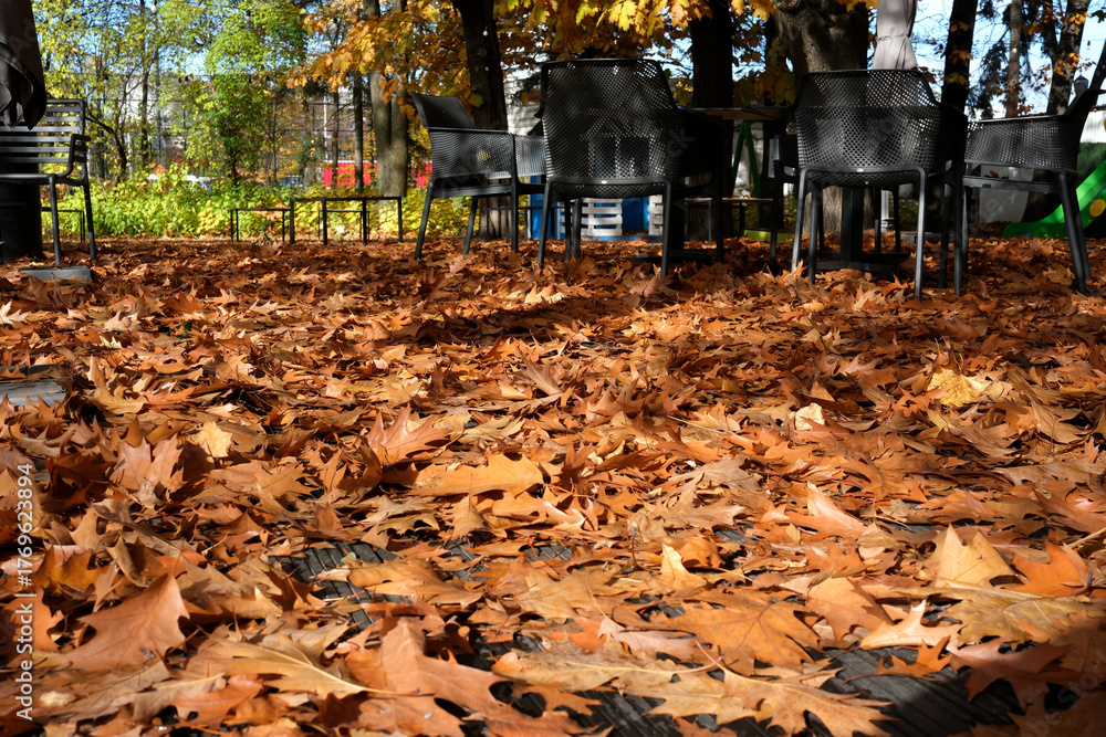 custom made wallpaper toronto digitalAutumn leaves blanket the ground in a cozy outdoor cafe setting