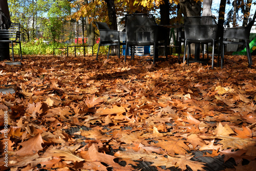 Wallpaper Mural Autumn leaves blanket the ground in a cozy outdoor cafe setting Torontodigital.ca