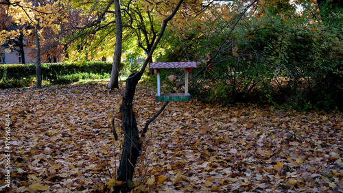 Colorful bird feeder stands out in a serene autumn park scene