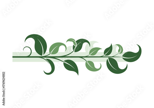 Green ivy leaves forming a beautiful floral decorative element on a white background