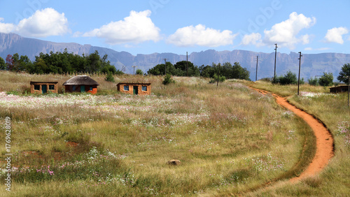 Tar road and cosmos flowers in the foreground. Traditional QwaQwa houses  and the Drakensberg mountains in the back ground. South Africa. 