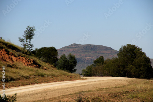 Dirt roads in the QwaQwa villages, located in the mountainous region of the Free State province in South Africa. Trees and plants like Wild Dagga in the foreground. Mountains in the background. 