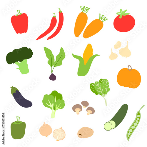 Fresh Vegetable Illustration Collection