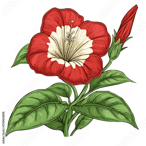 Trumpet Creeper Flower, playful cartoon illustration, in whimsical style, isolated on a white background..