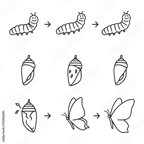 Butterfly Life Cycle Black and White Vector Illustration Metamorphosis Sequence