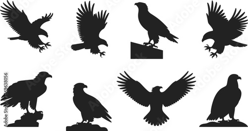 Eagle silhouettes in flight and perched, majestic bird poses, wildlife icons for nature design, branding, and education use, flat vector illustration