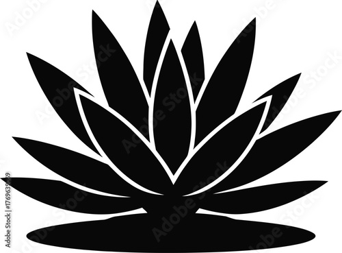 Black silhouette of a succulent plant