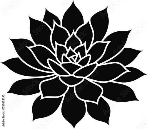 Elegant black silhouette of a succulent plant