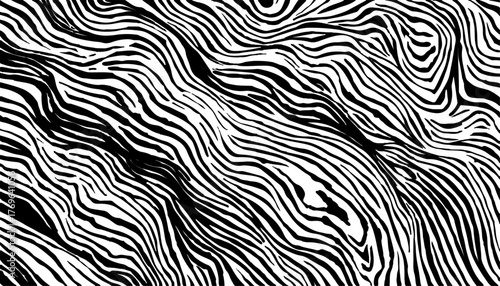 Black and white zebra abstract pattern white background. Zebra prints useful as a background. Seamless pattern with lines, vector background. Texture of zebra with dense lines. 