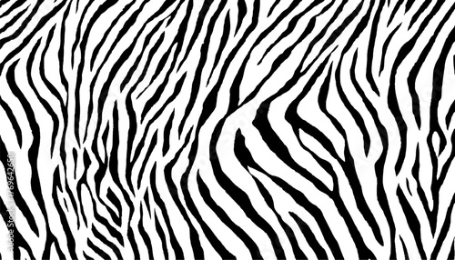 Black and white zebra abstract pattern white background. Zebra prints useful as a background. Seamless pattern with lines, vector background. Texture of zebra with dense lines. 